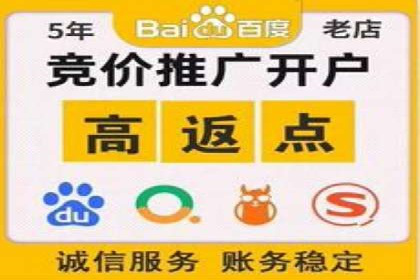 竞价SEM成功案例解析：关键词优化策略